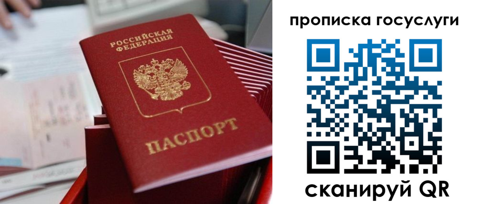 прописка законно в Смоленской области